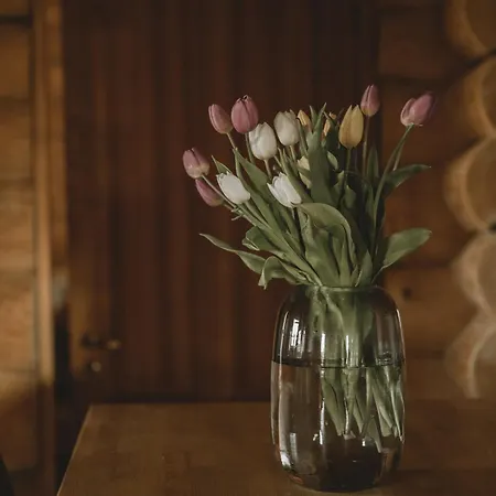 Сasa de vacaciones Fjordhygge - Authentic Wood Log Summerhouse Near Water, Fjord And Forest