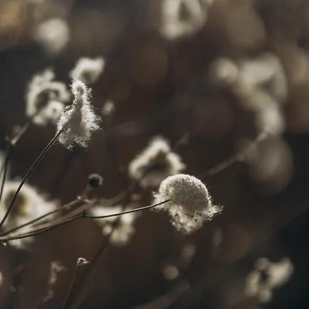 Fjordhygge - Authentic Wood Log Summerhouse Near Water, Fjord And Forest * Jægerspris