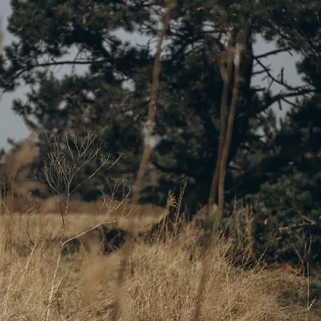 Сasa de vacaciones Fjordhygge - Authentic Wood Log Summerhouse Near Water, Fjord And Forest *